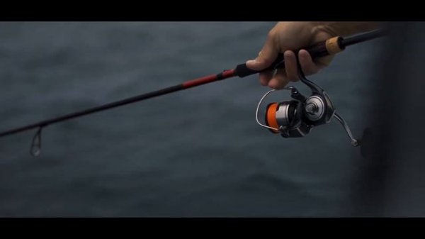 NEW 2024 Promo Video DAIWA 24 CERTATE LT