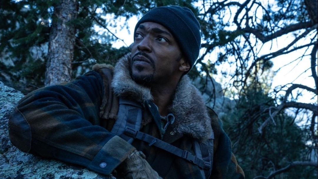 Хищные земли
Elevation, 2024