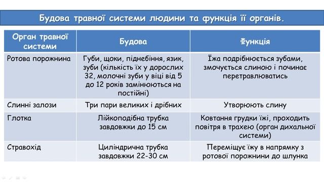Звідки наш організм бере енергію та будівельний матеріал // Пізнаємо природу 5 клас НУШ смотреть онлайн