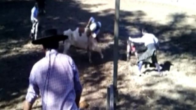 mix de montas del CRIADERO LOS BRAVOS DE JUAN HIDALGO смотреть онлайн