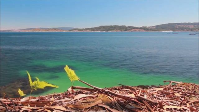 Elle préfère l'amour en mer.. Par Claude Noterman смотреть онлайн