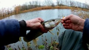 Тейл спиннер выручил рыбалку - зимняя щука на джиг .