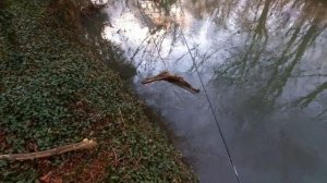 Tsurinoya Dark Wolf Ultra tested. Watch before you buy