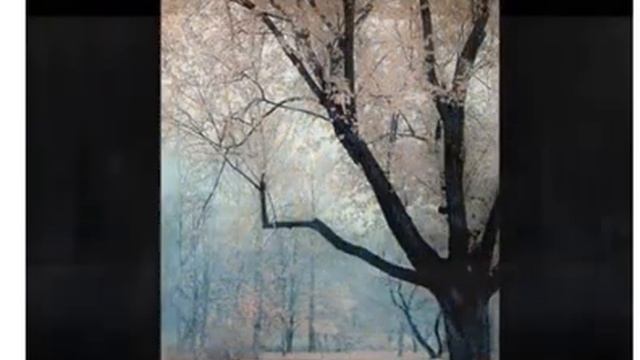 Н. Заболоцкий, Облетают последние маки..., муз. и исп. #СамуилФрумович