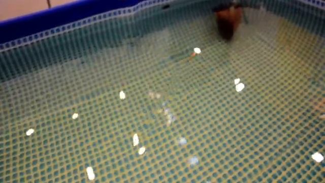 TsuYoki Rodger 106F ウクライナのツヨキ