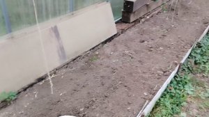 Дача 5 октября 24 г.