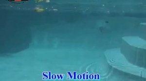 River2sea Gripp Crank