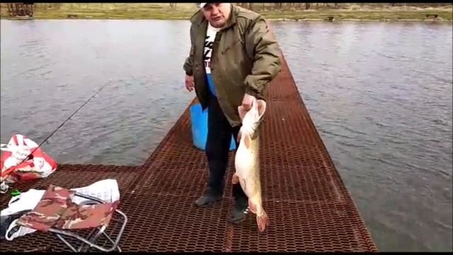 А 3 сектор не перестает удивлять!!!! Клевое место . д. Савельево смотреть онлайн