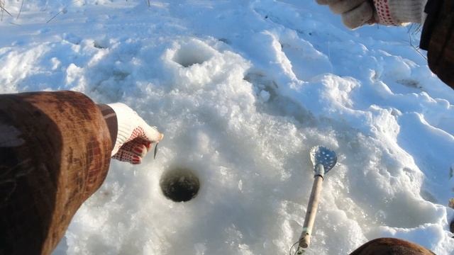 Открытие сезона твёрдой воды 2023-2024 смотреть онлайн