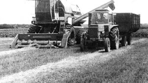 Интенсивная технология уборки зерновых культур с обмолотом на стационаре.Забытая технология СССР