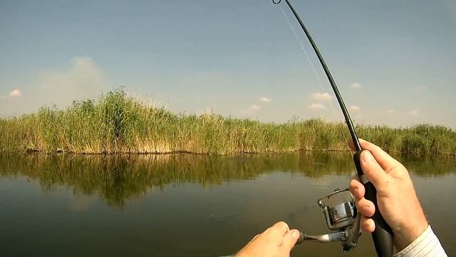 поплапопер