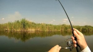 поплапопер