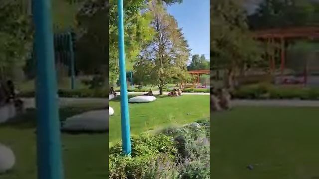 Белгород. Пляж в парке Берега, купальный сезон продолжается. смотреть онлайн