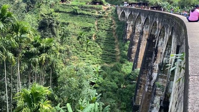 Шри-Ланка | Девятиарочный Мост | Водопад | Чайные плантации | Пик Адама смотреть онлайн
