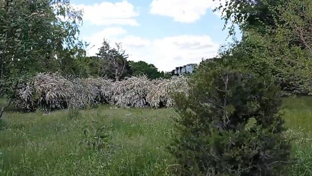 ОДЕССА Сейчас. ХОРОШИЕ НОВОСТИ. 30 мая 2022 г. смотреть онлайн