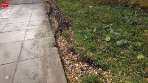 Шок !!! Алкаши и мусор. Американец в шоке от российских дворов. 22 года как 21й век и ничего....