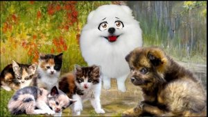 СПАСЕНИЕ БЕЗДОМНЫХ Маленьких КОТЯТ и Маленького Щенка.