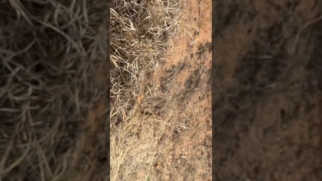 Bass fishing 2-22-24 смотреть онлайн