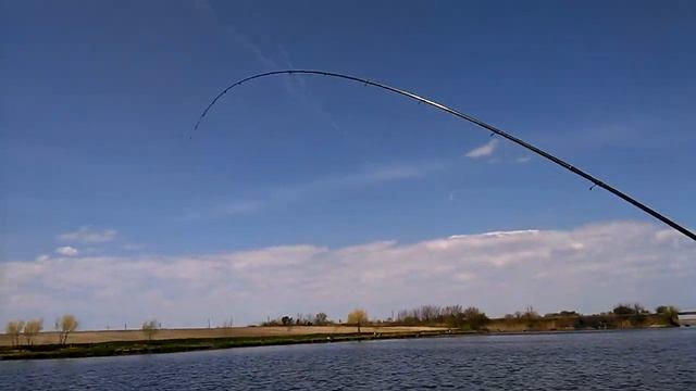 Feeder fishing carpa & Abyss X смотреть онлайн