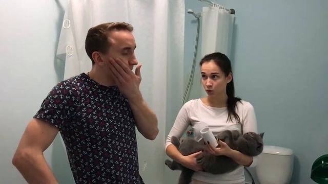 кот vs парень смотреть онлайн