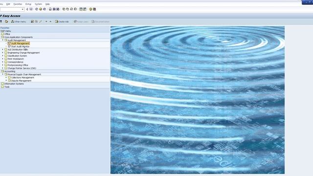 SAP OneRPA смотреть онлайн
