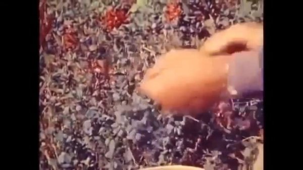 Жизнь в одиночку в дикой природе Аляски  Охота, рыбалка, строительство зимовья