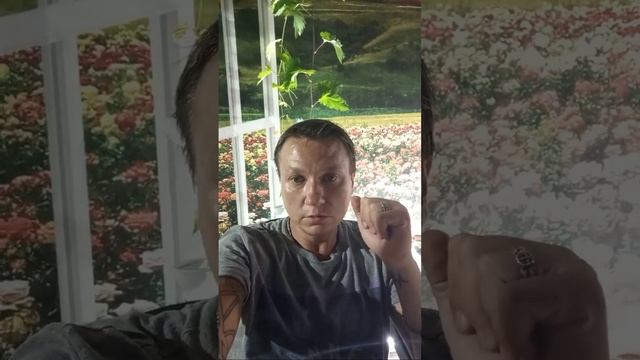 примеряю новый фон🤔 смотреть онлайн