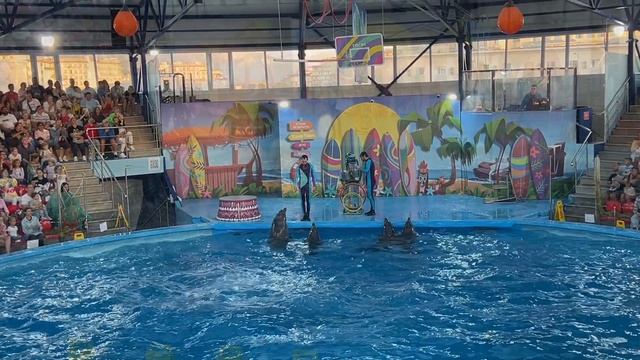 Дельфины в Адлере. Сочи парк.