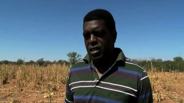 Elephants destroy mahangu fields in the Omusati-NBC смотреть онлайн