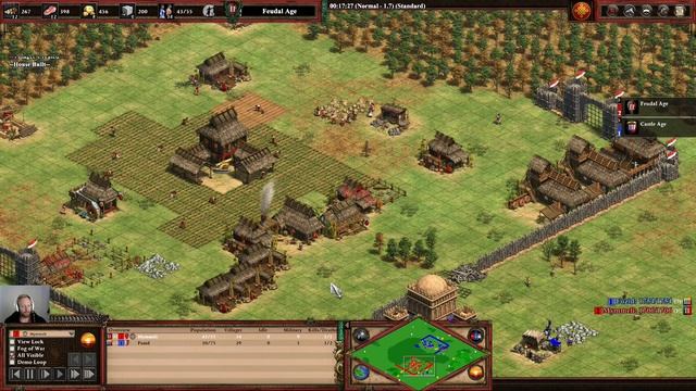 Ethiopians v Chinese ➤ Hideout ➤ Age of Empires 2 : Definitive Edition смотреть онлайн