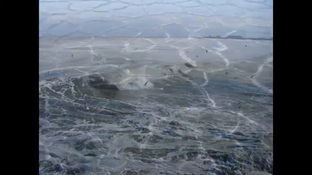 Lana Lane-Frozen Sea смотреть онлайн