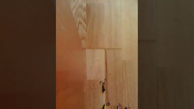 Уловистые воблеры и блесна на щук и.т.д смотреть онлайн