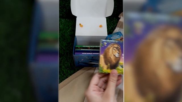 Сундук поп ап №2 смотреть онлайн