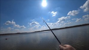 Xesta s83 vs Arion 862mls, судак или щука...Итог!