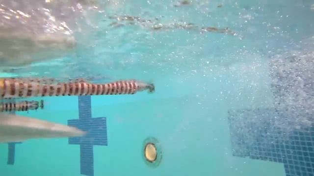 Summer Sanders and Speedo on the Benefits of Swimming (Dunham's Sports) смотреть онлайн