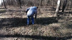 Арбалет-  пистолет Man Kung МК 80А4АL - 40,обзор ,в лесу с Джек Расселом Терьером Зеной!