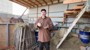 Купили Лошадь ?, Чем кормить Сеном или кормами, сколько давать, в каких количествах.