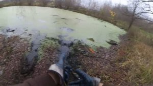 Жуткое Болото и Страшные Находки на Поисковый Магнит,search magnet