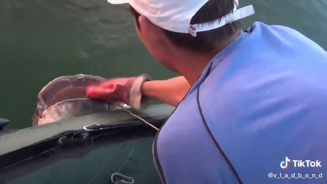 Рабалка - Впоймали сома на 70 кг