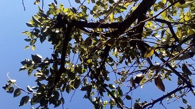 20241006_100800.mp4 смотреть онлайн
