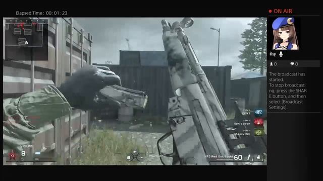 Call Of Duty 4 Multiplayer BOTS смотреть онлайн