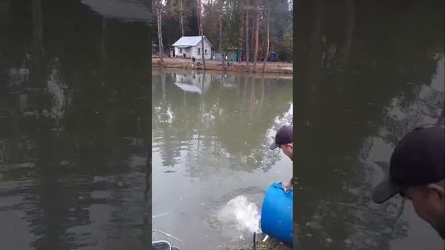 запуск на путевки смотреть онлайн