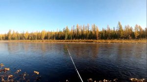 Рыбалка мечты на аэролодке ТОРНАДОАЭРО. Часть вторая.