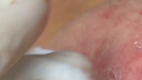 Relax Every Day With Sac Dep Spa #0181