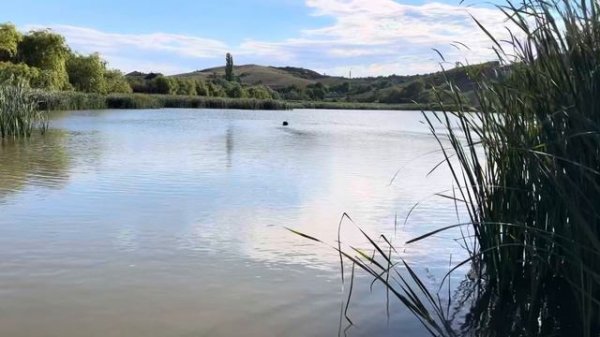 Прикормочный кораблик s70-30