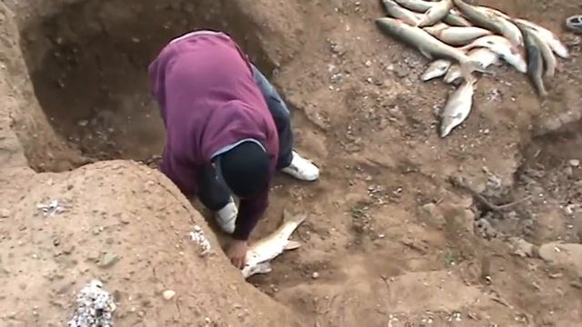 Бешаные Рыбаки 9.MPG смотреть онлайн