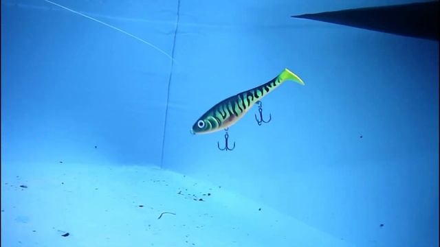 Rapala, Jerkbait X Rap Peto, Fishing Lure Underwater Test