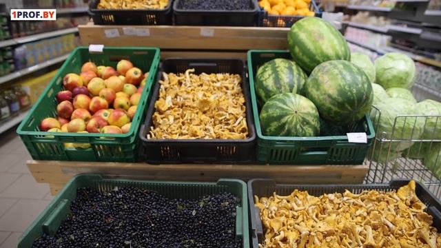 Стартовал сезон заготовки ягод и грибов смотреть онлайн