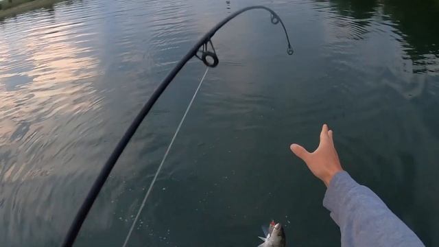 Fishing Lure Review: Yo-Zuri 3D Popper смотреть онлайн