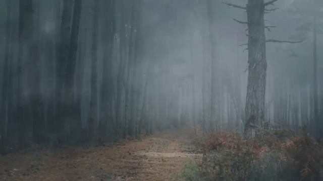 Искатели сокровищь смотреть онлайн